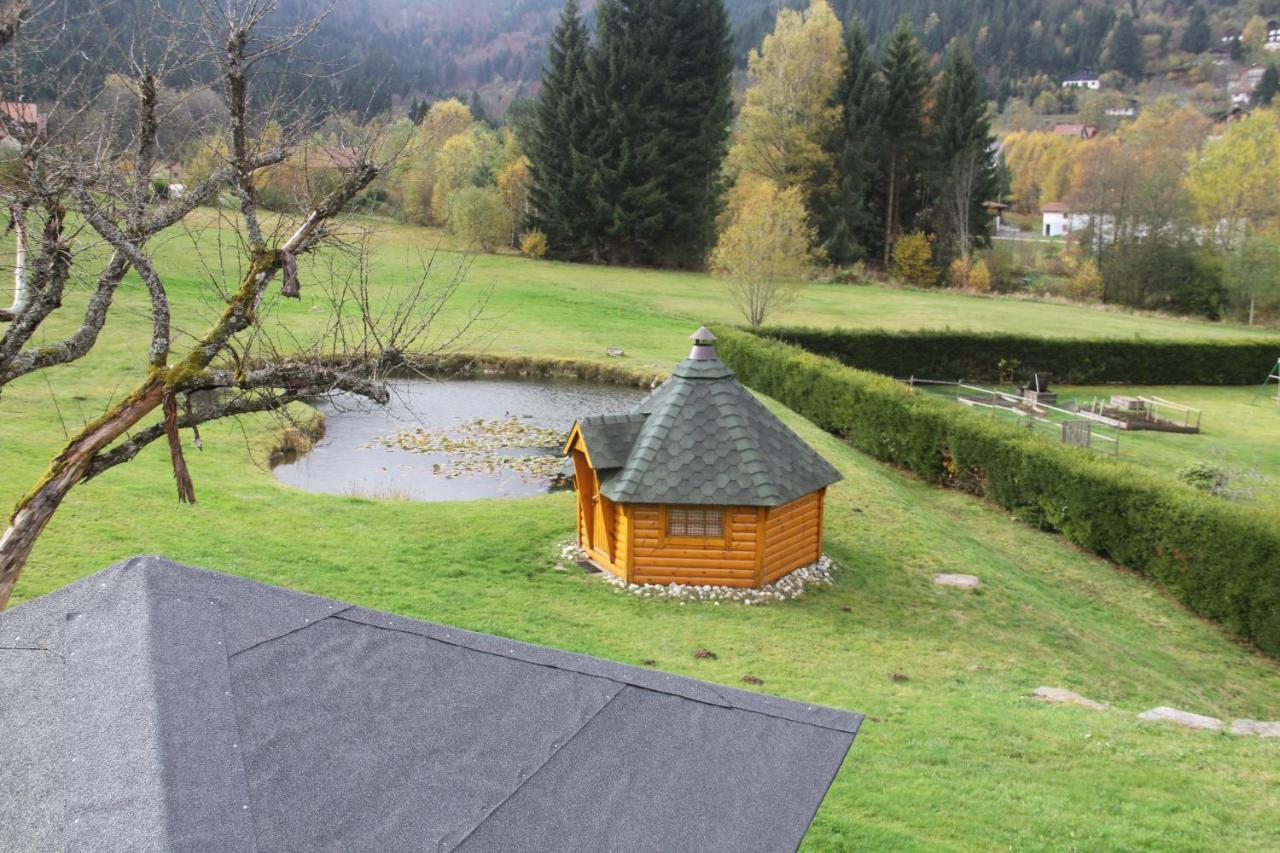 Chalet Centauree - Remy Herold Xonrupt-Longemer Εξωτερικό φωτογραφία