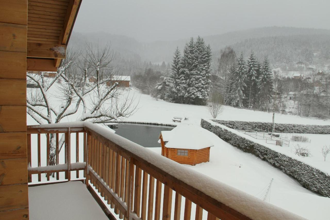 Chalet Centauree - Remy Herold Xonrupt-Longemer Εξωτερικό φωτογραφία