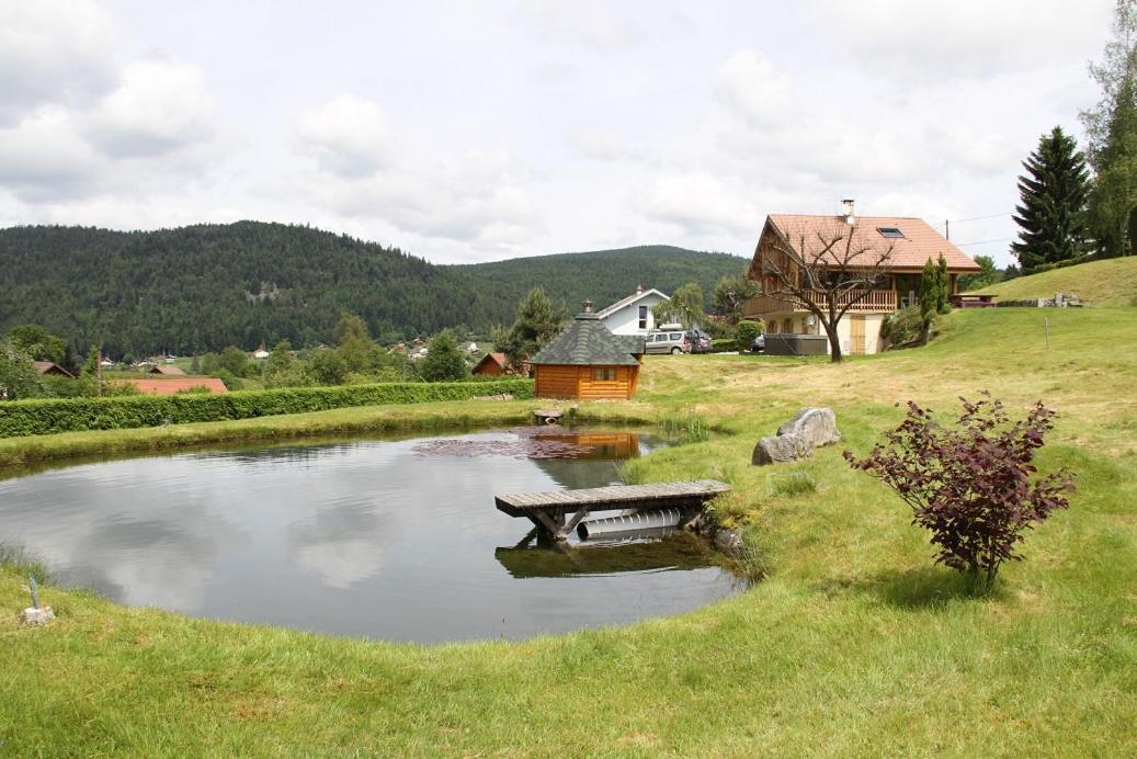 Chalet Centauree - Remy Herold Xonrupt-Longemer Εξωτερικό φωτογραφία
