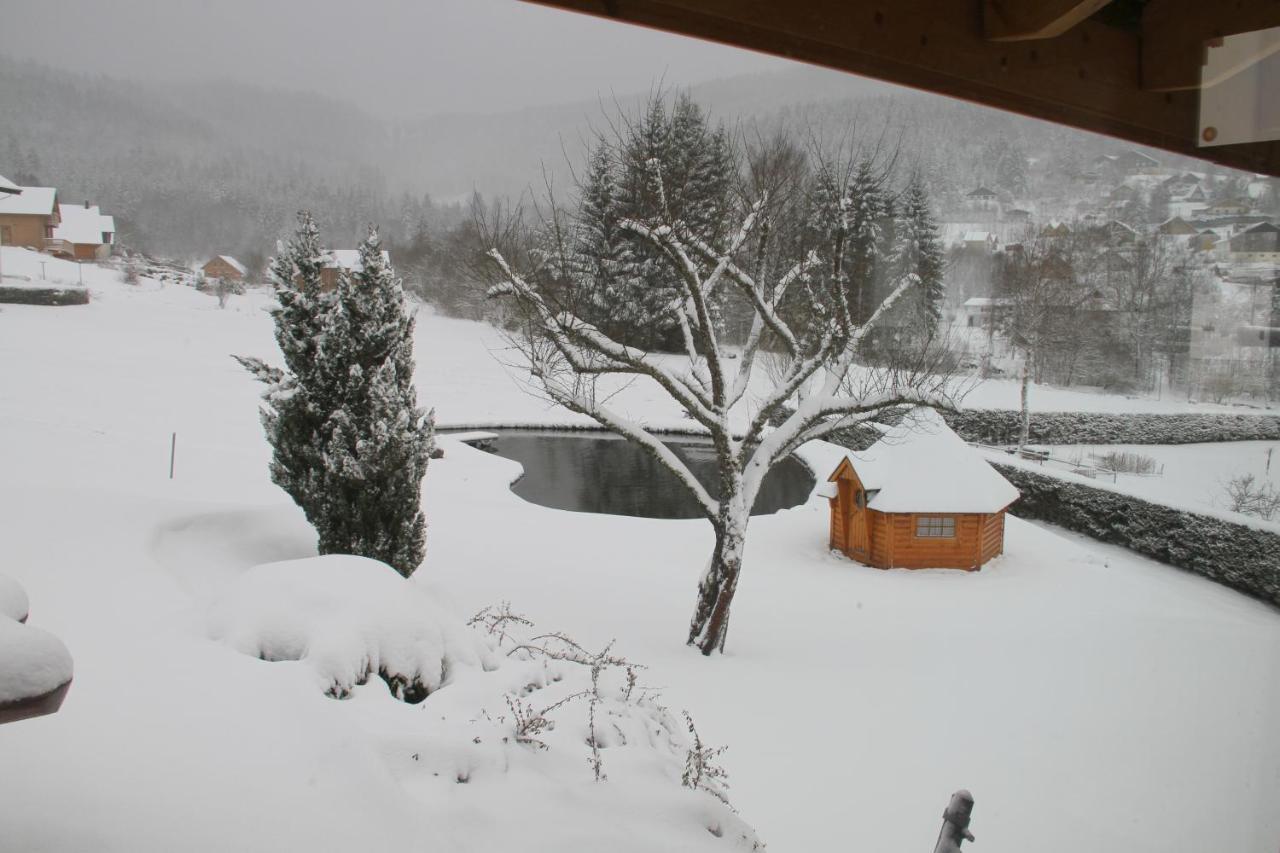 Chalet Centauree - Remy Herold Xonrupt-Longemer Εξωτερικό φωτογραφία