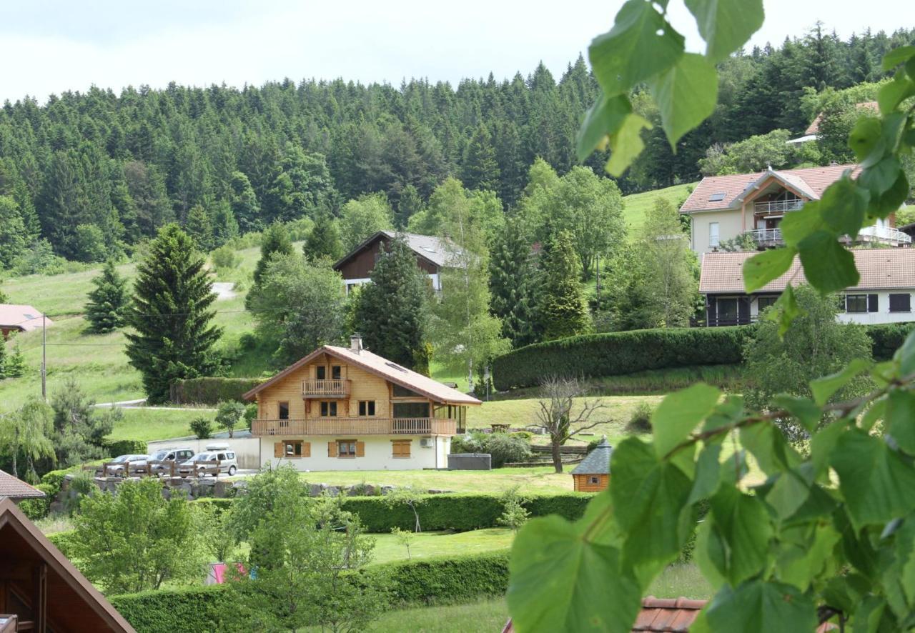 Chalet Centauree - Remy Herold Xonrupt-Longemer Εξωτερικό φωτογραφία