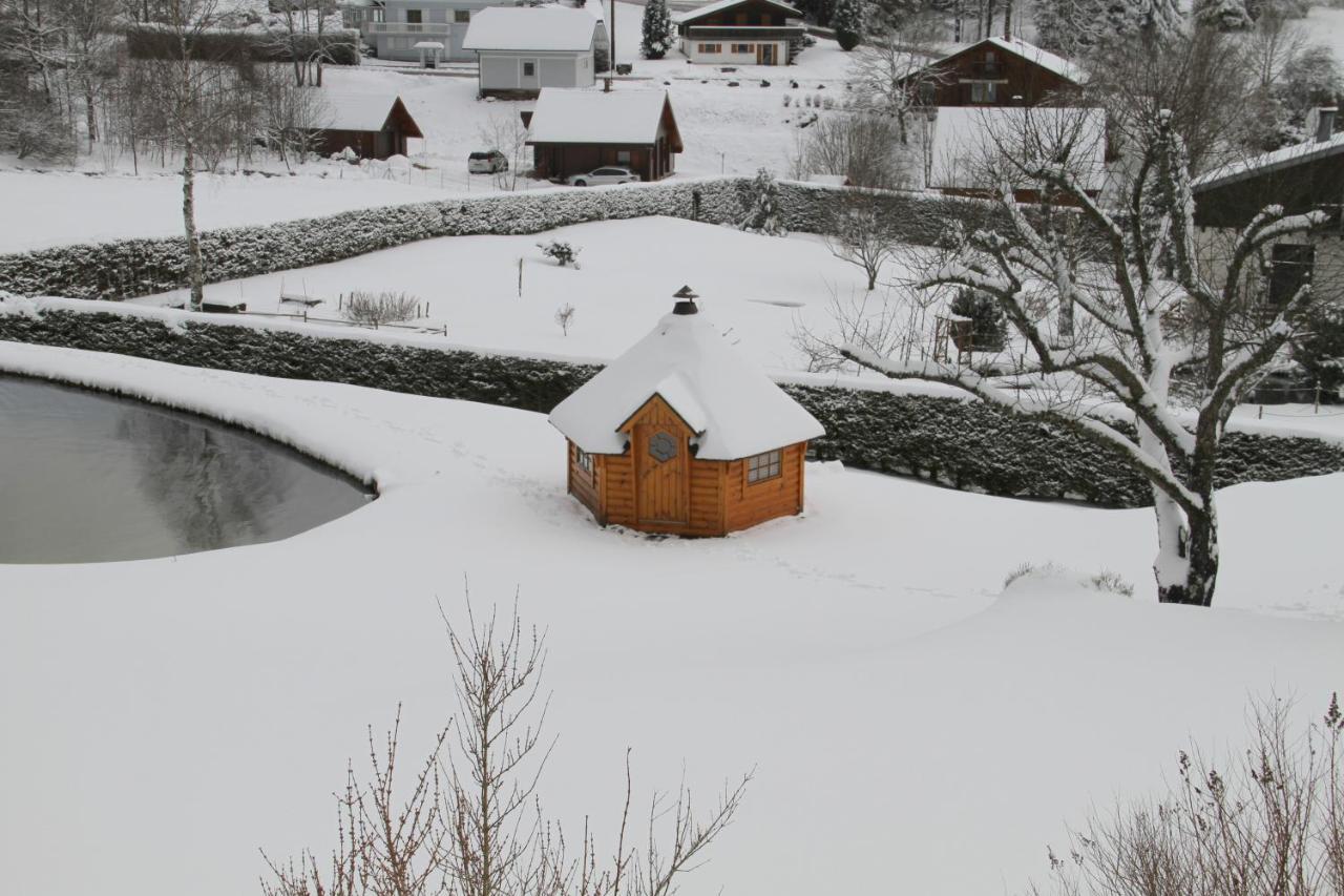 Chalet Centauree - Remy Herold Xonrupt-Longemer Εξωτερικό φωτογραφία